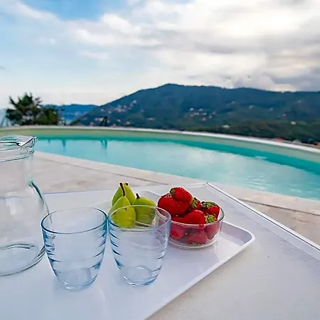 Hotel Serenity With Swimming Pool And Parking In